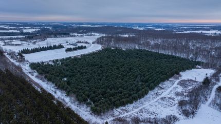 Hunting Land for sale in Barron County, Wisconsin