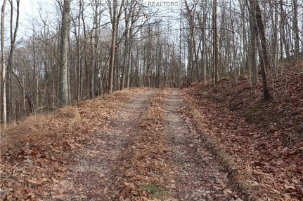 Undeveloped Land for sale in Lincoln County, West Virginia