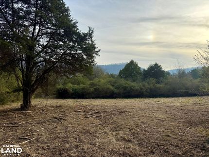 Undeveloped Land for sale in Saint Clair County, Alabama