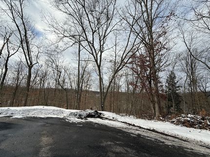 Hunting Land for sale in Beaver County, Pennsylvania