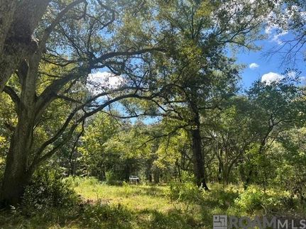 Undeveloped Land for sale in Saint Helena Parish, Louisiana