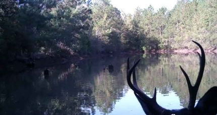 Property for sale in Holmes County, Florida