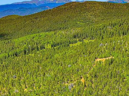 Undeveloped Land for sale in Gilpin County, Colorado