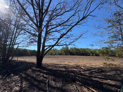 Property for sale in Choctaw County, Alabama