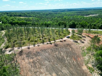 Undeveloped Land for sale in Pike County, Alabama