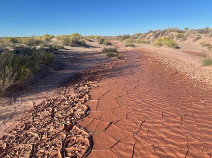 Residential Property in Navajo County, Arizona
