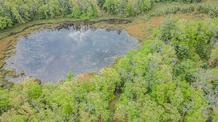 Undeveloped Land for sale in Lake County, Michigan