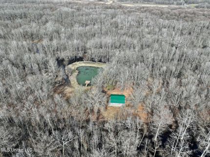 Hunting Land for sale in Humphreys County, Mississippi
