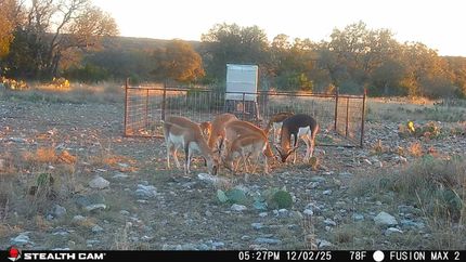 Ranch Property for sale in Edwards County, Texas