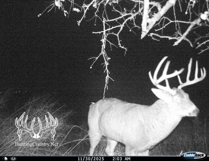 Farm Property for sale in Ford County, Kansas