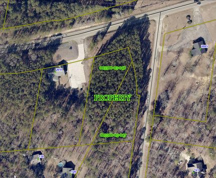 Undeveloped Land for sale in Lexington County, South Carolina
