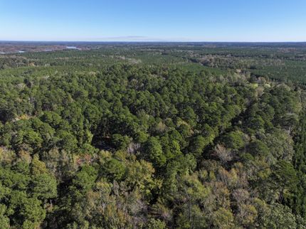 Farm Property for sale in Bienville Parish, Louisiana