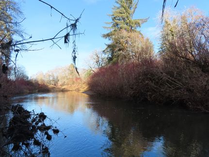 Riverfront Property for sale in Pacific County, Washington