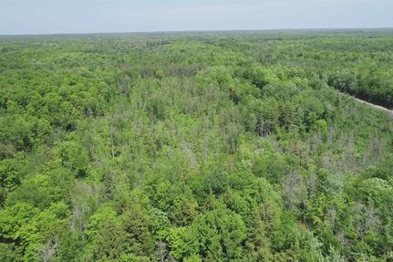 Undeveloped Land for sale in Marquette County, Michigan
