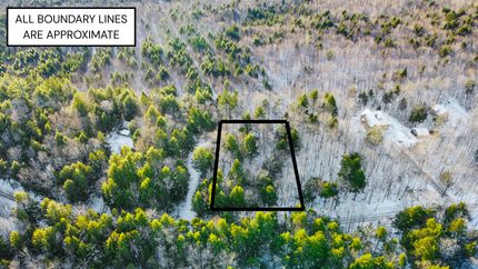 Undeveloped Land for sale in Washington County, Maine