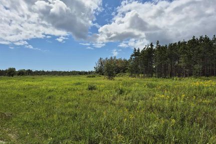 Undeveloped Land for sale in Schoolcraft County, Michigan