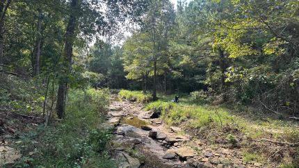 Horse Property for sale in Cleburne County, Arkansas
