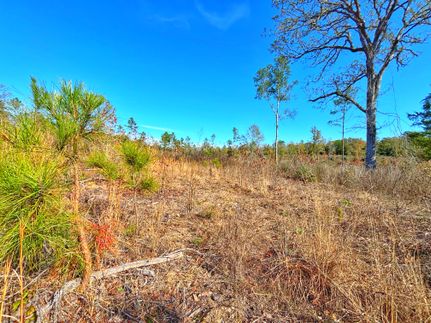Timberland Property for sale in Anderson County, Texas