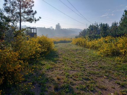 Timberland Property for sale in Person County, North Carolina