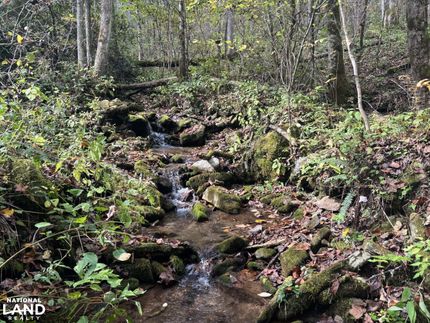 Timberland Property for sale in Swain County, North Carolina