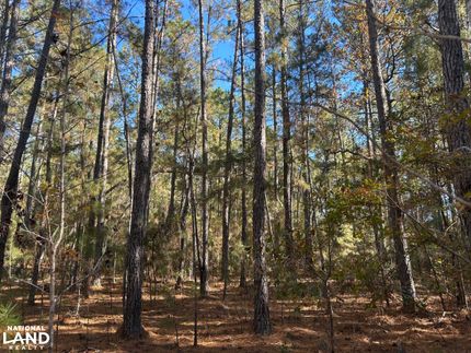 Residential Property for sale in Williamsburg County, South Carolina