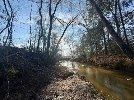 Riverfront Property for sale in Amite County, Mississippi