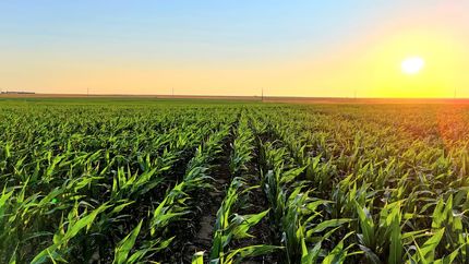 Property for sale in Pawnee County, Kansas