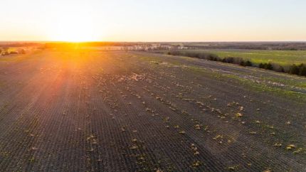 Hunting Land for sale in Delta County, Texas