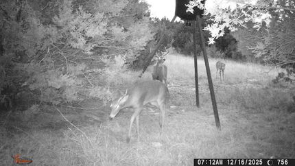 Property for sale in Comanche County, Texas