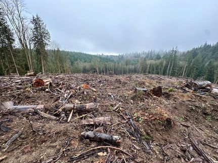 Property for sale in Columbia County, Oregon