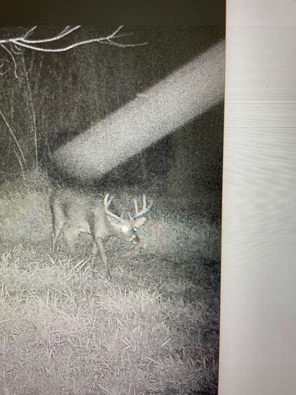 Hunting Land in Champaign County, Illinois