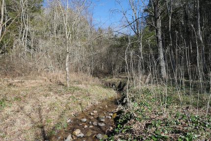 Ranch Property for sale in Lee County, Virginia