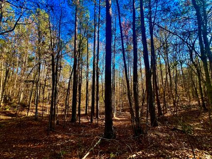 Property for sale in Lawrence County, Mississippi