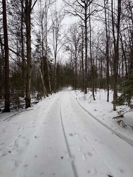 Farm Property for sale in Roscommon County, Michigan