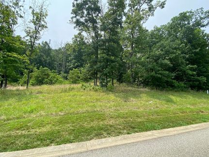 Undeveloped Land for sale in Franklin County, Virginia