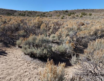 Residential Property for sale in Costilla County, Colorado