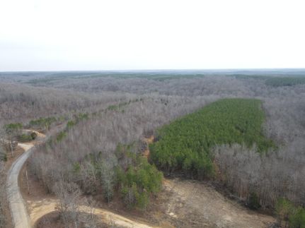 Timberland Property for sale in Stewart County, Tennessee