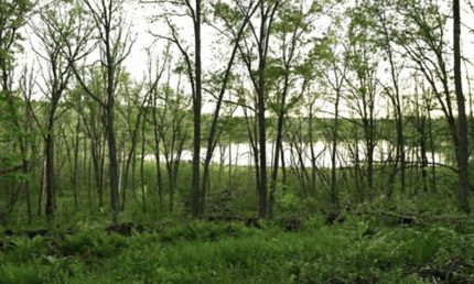Recreational Property for sale in Todd County, Minnesota