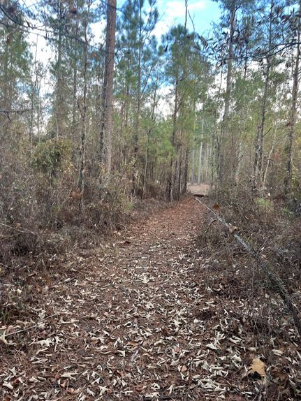 Farm Property for sale in Aiken County, South Carolina