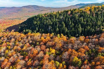 Undeveloped Land for sale in Essex County, Vermont
