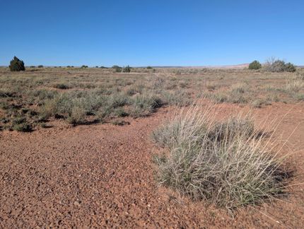 Undeveloped Land for sale in Apache County, Arizona