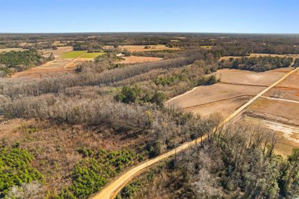 Undeveloped Land for sale in Marion County, South Carolina