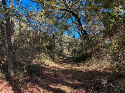 Undeveloped Land for sale in Leon County, Texas