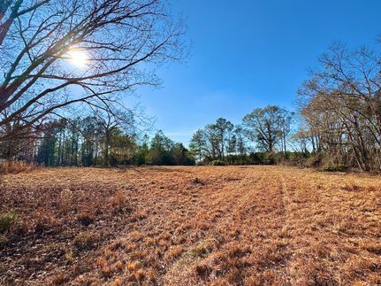 Undeveloped Land for sale in Johnson County, Georgia