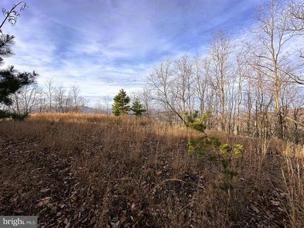 Property for sale in Hardy County, West Virginia