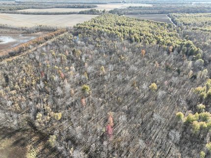 Recreational Property for sale in Quitman County, Mississippi