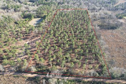 Undeveloped Land for sale in Panola County, Texas