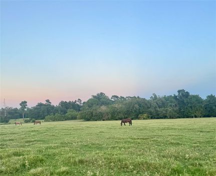 Ranch Property for sale in Montgomery County, Texas