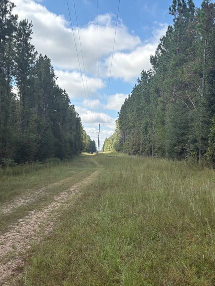 Timberland Property for sale in Monroe County, Alabama