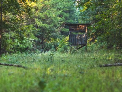 Property for sale in Rankin County, Mississippi